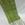 Faixa de raión raiada en verde oliva - Imaxe 1