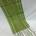 Faixa de raión raiada en verde oliva - Imaxe 1